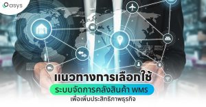 แนวทางการเลือกใช้ระบบจัดการคลังสินค้า WMS เพื่อเพิ่มประสิทธิภาพธุรกิจ